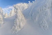 The Jura ridges in the heart of winter, Massif du Grand Crêt d'Eau, National Nature Reserve of the Haute Chaîne du Jura, France