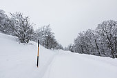 Snow covered road, Route of the Ridges, under the great Hohneck Vosges, France