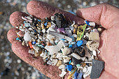 Contamination. Troops of plastic and microplastics that reach the beaches carried by the winds and the tides. Canary Islands.