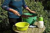 Sowing in trays, preparation of the tray (a basin)