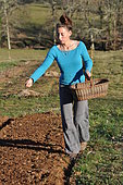 Green manure sowing, Permaculture sowing