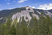Alpine glade with erosion of the limestone soil that can eventually create scree on the steep slopes of the mountains, Champagny-en-Vanoise, Savoie, Auvergne-Rhône-Alpes Region, France
