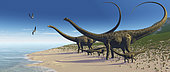 A Diplodocus herd comes down to a lake for a drink of water.