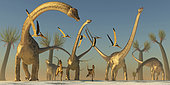 Dilophosaurus and pterosaurs join a Diplodocus dinosaur herd on their search for food.