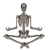 Front view of human skeleton meditating, isolated on white background.