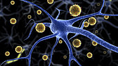 Biomedical illustration of the eastern equine encephalitis disease attaching to a neuron.