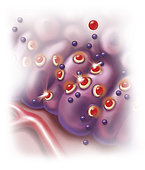 Antihistamine in histamine receptors blocking the allergic reaction.