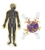 Energy meridians of the human body and a cell showing energy vibrational communication.