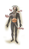 Representation of how our thoughts affect our emotions.
