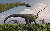 A herd of Diplodocus sauropod dinosaurs grazing during Earth's Jurassic period.