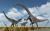 A pair of carnivorous Allosaurus dinosaurs confront a giant Diplodocus sauropod during Earth's Jurassic period of time.
