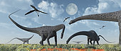 A herd of giant Diplodocus dinosaurs grazing during Earth's Jurassic Period of time.