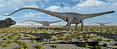A herd of giant Diplodocus dinosaurs on the move during Earth's Jurassic Period.
