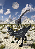 A carnivorous Allosaurus confronting a giant Diplodocus.