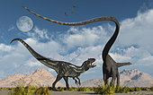 A carnivorous Allosaurus in a deadly battle with a Diplodocus dinosaur.