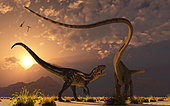 A carnivorous Allosaurus in a deadly battle with a Diplodocus dinosaur at dawn.