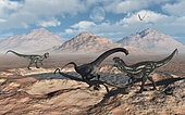 A Diplodocus sauropod dinosaur caught in a mud pit during a drought, attracting the attention of predatory Allosaurus dinosaurs during Earth's Jurassic period.
