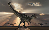 An Allosaurus watching a pair of large Diplodocus dinosaurs pass in the distance.