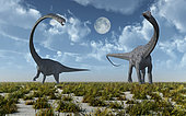 An Omeisaurus and Diplodocus dinosaur that lived during Earth's Jurassic period.