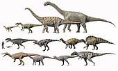 Prehistoric era dinosaurs of Niger drawn to scale.