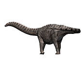 Apatosaurus is a sauropod dinosaur from the Jurassic Period.