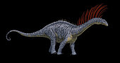 Lateral view of a Bajadasaurus dinosaur.