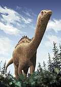 Demandasaurus darwini, a rebbachisaurid from the Burgos Province of Spain, showing the round-shaped lower jaw.
