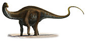 Apatosaurus excelsus, a prehistoric era dinosaur from the Jurassic period.