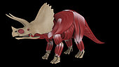 Muscular system of a Triceratops dinosaur, side view.