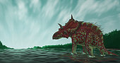 A Xenoceratops scratches its back with its epoccipital bones, standing in the shallow waters of a prehistoric river.