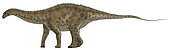 Apatosaurus, a sauropod dinosaur also known as Brontosaurus.