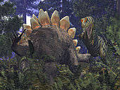 An Allosaurus stumbles upon a grazing Stegosaurus in a Jurassic Redwood forest. While it's probable that the 30 foot, 2 ton Allosaurus preyed upon large herbivores, it is doubtful that one would have risked a direct confrontation with an adult Stegosaurus, which could weigh as much as 5 tons and wields a powerful tail tipped with 3-foot spikes. Adding to its survivability, Stegosaurus' front legs may have been strong enough to allow it to pivot and swing its entire backside around to ward off an assault. . In addition to Redwoods and varieties of fern, this Jurassic-period forest includes the now extinct Pachypteris, an arboreal plant that grew to a height of 10 feet and populated every major continent 160 million years ago (in this image, the Stegosaurus is stepping back onto a Pachypteris, obliging a much smaller lizard to abandon its roost). . Was the Allosaurus really striped like Siberian tigers? Fossilized impressions of dinosaur skins reveal combinations of smooth and bony scales, and even feathers for some, but nothing has been preserved that would tell us what colors may have adorned them. Nevertheless, there are plenty of colorful modern reptiles for us to refer to, and birds, which may be the dinosaurs' closest living descendents, are among the most colorful vertebrates of all. Allosaurus reigned for 10 million years, so there was plenty of opportunity for them to evolve a wide variety of coloring schemes, if required.
