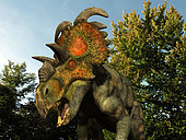 A 20 foot long Albertaceratops wanders a Cretaceous forest 77 million years ago in what is today Alberta, Canada. . . Like the better known Triceratops, Albertaceratops was a Ceratopsid, a large four-legged plant-eating dinosaur characterized by beaks, rows of shearing teeth in the back of the jaw, and elaborate horns and frills. While they resemble defensive shields, the frills are in fact relatively fragile, suggesting that they may have served a purpose other than protecting against a brute force attack. One possibility is that the frills were employed as visual displays in order to intimidate rivals and attract the opposite sex. While no color pigmentation has been preserved in the fossil remains of Ceratopsids, it's not unreasonable to suggest that they may have been very colorful, like many reptiles and birds are today.