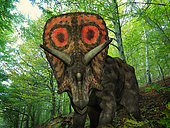 A colorful Torosaurus wanders a Cretaceous forest 75 million years ago in what is today southeastern Wyoming. . Like the better known Triceratops, Torosaurus was a ceratopsid, a family of large four-legged plant-eating dinosaurs characterized by beaks, rows of shearing teeth in the back of the jaw, and elaborate horns and frills. While they resemble defensive shields, the frills are in fact relatively fragile, suggesting that they may have served a purpose other than protecting against a brute force attack. One possibility is that the frills were employed as visual displays in order to intimidate rivals and attract the opposite sex. While no color pigmentation has been preserved in the fossil remains of ceratopsids, it's not unreasonable to suggest that they may have been very colorful, like many reptiles and birds today.