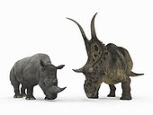 An adult Diabloceratops from 70 million years ago is compared to a modern adult White Rhinoceros (Ceratotherium simum). The Diabloceratops is 8 feet tall at the shoulder and weighs 6000 pounds, while the White Rhinoceros is 6 feet tall at the shoulder and weighs 7,000 pounds.