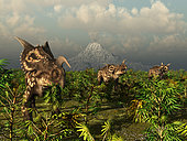 A herd of plant-eating Einiosaurus roam the plains in what is today the Two Medicine Formation in northwestern Montana. In the distance a long-dormant volcano signals its return to activity by cauterizing snowcover into great clouds of steam. Within weeks the volcano will bury this scene beneath a massive ash fall, preserving the remains of the flora and fauna for future exhumation and examination by Homo sapiens 75 million years later.
