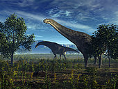 A pair of massive Isisaurus colberti wander lush plains 70 million years ago in what is today central India. Formerly known as Titanosaurus colberti, Isisaurus colberti was a leaf-eating herbivore that grew up to 60 feet long and weighed as much as 15 tons.