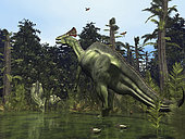 In a scene 75 million years ago from what's now Montana, a six ton male Lambeosaurus rears onto its massive hind legs in response to a possible threat, while a female and juvenile Lambeosaurus drink near the river's edge. Lambeosaurus was a plant-eating dinosaur known for its distinctive hollow cranial crest, which in the best-known species resembled a hatchet. The purpose of the crest is unknown. . Also featured here are Late Cretaceous Period flora including the now extinct tree fern Tempskya and species of flowering Magnolia similar to the Southern Magnolia we know today. Modern birds were just making their appearance, though avian fossils from this period are rare.