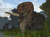 A five ton, 25 foot long male Torosaurus drinks from a river bordered by ferns and Bald Cypress in what is today southeastern Wyoming. Torosaurus was a plant-eating dinosaur from the same family as the better known Triceratops. Torosaurus had one of the largest skulls of any known land animal, reaching over 8 feet in length.