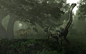 A 30-foot-long, 10 ton juvenile titanosaurian sauropod dinosaur of the genus Antarctosaurus is approached from behind by a 25-foot-long, two ton adult abelisaurid theropod dinosaur of the genus Abelisaurus, deep in a forest in what is today Argentina. Likely a fierce predator, Abelisaurus resembled the larger Tyrannosaurus Rex that was to roam North America 10 million years later. Antarctosaurus was an herbivore that may have grown to 60 feet long and weighed up to 100 tons. Antarctosaurus had a squarish, blunt head with peg-shaped teeth.