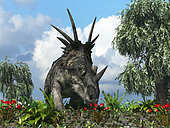 A 17-foot-long, three ton herbivorous ceratopsian dinosaur of the genus Styracosaurus samples flowers of the order Ericales amidst varieties of fern 76 million years ago in North America. Flanking the Styracosaurus are willows of the genus Salix.