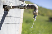 Water is rare in Provence! Water flowing from a tap, Provence, France