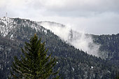 View of the Ballon de Servance from the Ballon d'Alsace in winter, Saint-Maurice-sur-Moselle, Vosges, France
