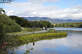 Pound of Veronne, footpath, view of the Vosges, Sermamagny, Territoire de Belfort, France