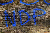 Oak logs (Quercus) offered by the municipality to rebuild the framework of Notre Dame de Paris cathedral, March 2021, forest, Moffans-et-Vacheresse, Haute-Saône, France