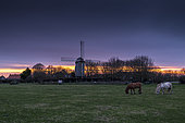 Coquelles Mill at sunrise, Pas de Calais, France
