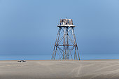 Grey seal (Halichoerus grypus) at the foot of the Walde lighthouse, les Hemmes de Marck, Opal Coast, Pas de Calais, France