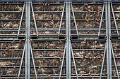 Intensive poultry farm chickens in transit between France and Italy in a truck. Hautes-Alpes, France.