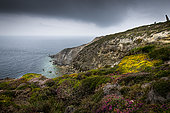 Cliffs of Cap de la Chèvre in summer, Crozon peninsula, Finistère, Brittany, France
