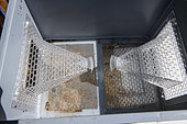 Asian predatory hornet control: preventive and autonomous capture tank. The first selective device for capturing Asian hornets and preventing nests in Europe. Produced by Jabeprode in Finistère. France
